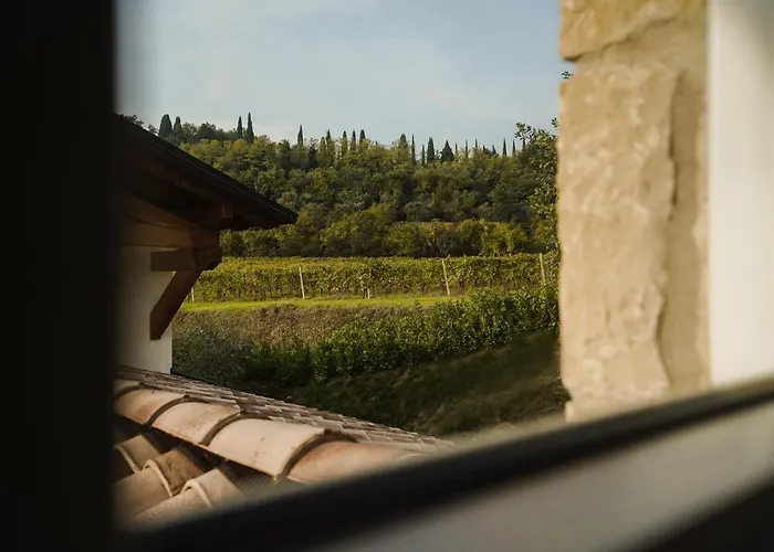 Aparthotel Casa Olivi 4*